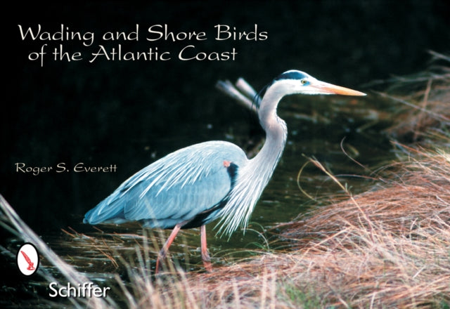 Wading & Shore Birds of the Atlantic Coast