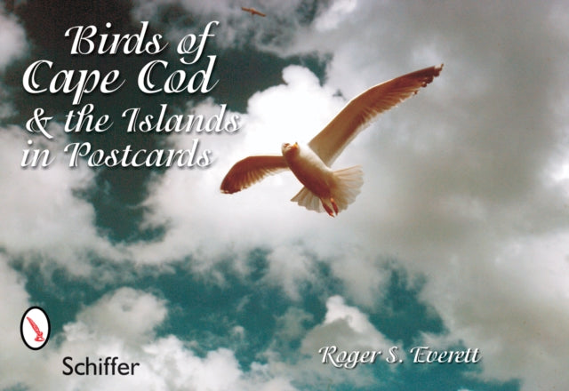 Birds of Cape Cod & the Islands in Postcards