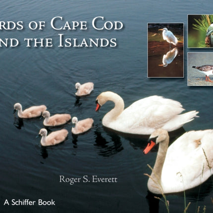 Birds of Cape Cod & The Islands