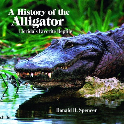 A History of the Alligator: Florida's Favorite Reptile