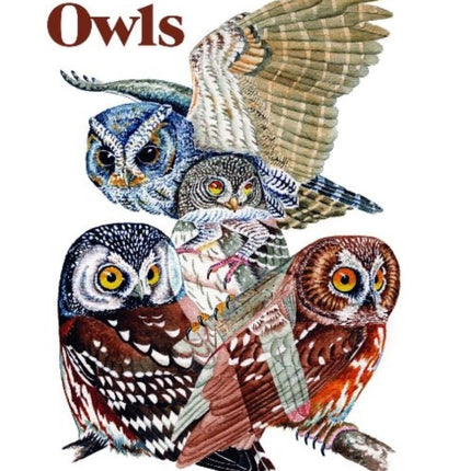 Small Mountain Owls