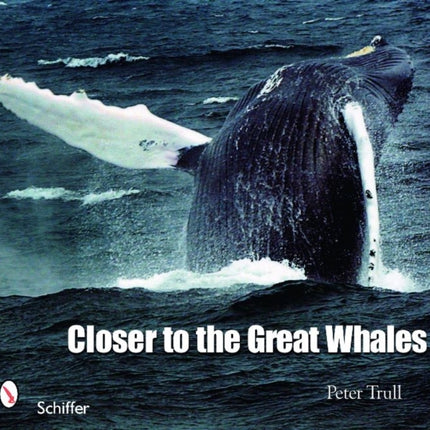 Closer to the Great Whales