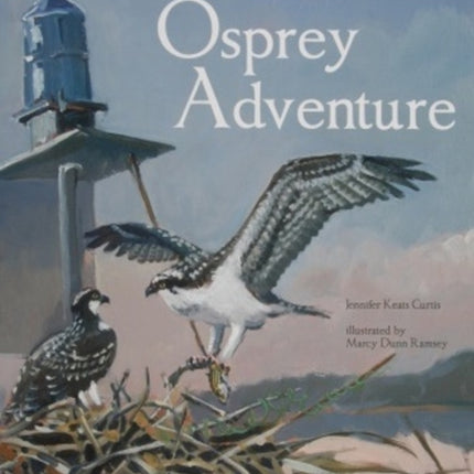 Osprey Adventure