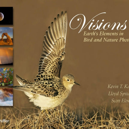 Visions: Earth's Elements in Bird and Nature Photography: Earth's Elements in Bird and Nature Photography