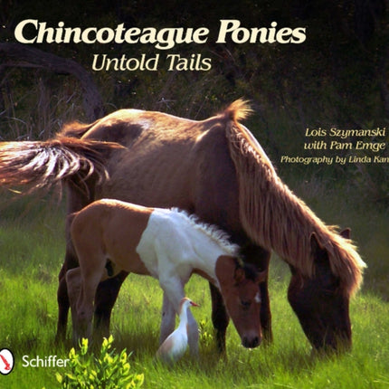 Chincoteague Ponies: Untold Tails