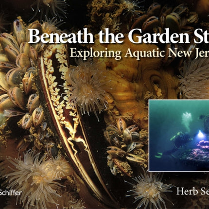 Beneath the Garden State: Exploring Aquatic New Jersey