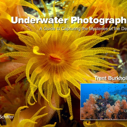 Underwater Photography: A Guide to Capturing the Mysteries of the Deep