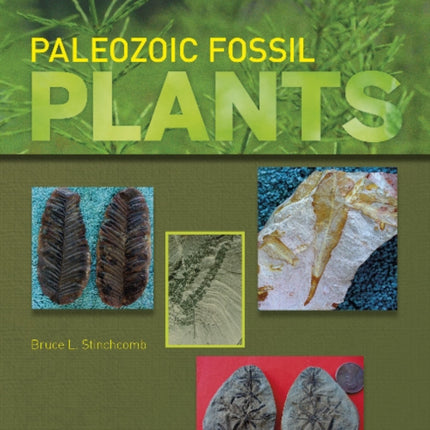 Paleozoic Fossil Plants