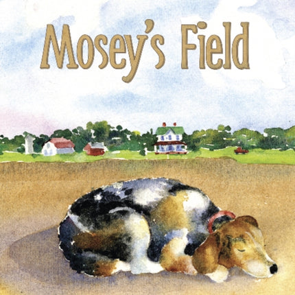 Mosey's Field