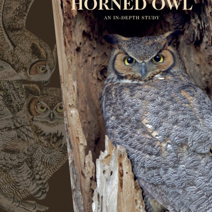 The Great Horned Owl: An In-depth Study