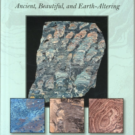 Stromatolites: Ancient, Beautiful, and Earth-Altering