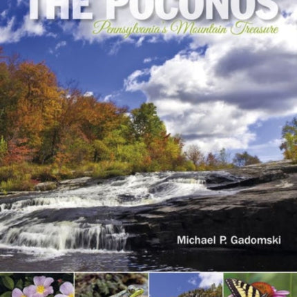 The Poconos: Pennsylvania's Mountain Treasure