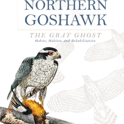 Northern Goshawk, the Gray Ghost: Habits, Habitat, and Rehabilitation