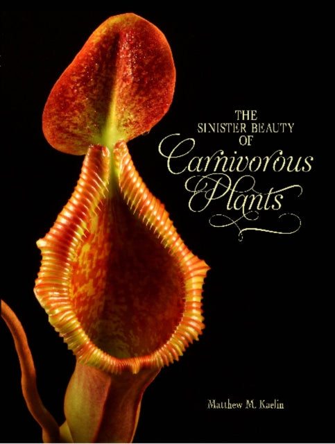 The Sinister Beauty of Carnivorous Plants