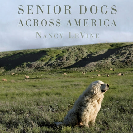 Senior Dogs Across America: Portraits of Man's Best Old Friend