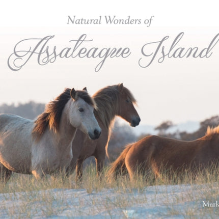 Natural Wonders of Assateague Island