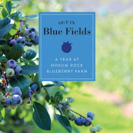 Out in Blue Fields: A Year at Hokum Rock Blueberry Farm