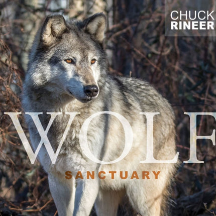 Wolf Sanctuary: The Wolves of Speedwell Forge