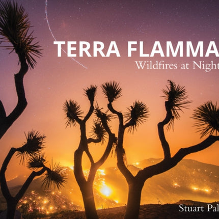 Terra Flamma: Wildfires at Night