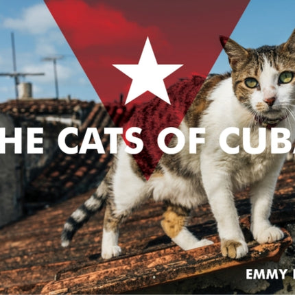 The Cats of Cuba