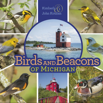 Birds and Beacons of Michigan