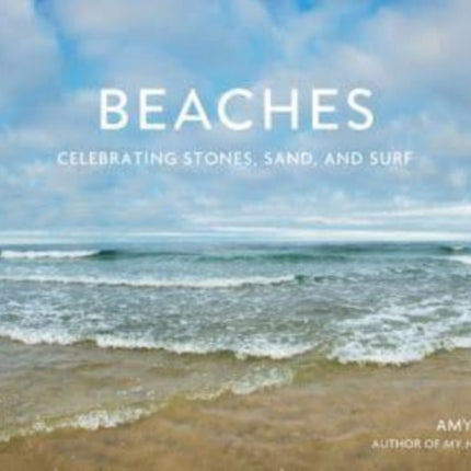 Beaches: Celebrating Stones, Sand, and Surf