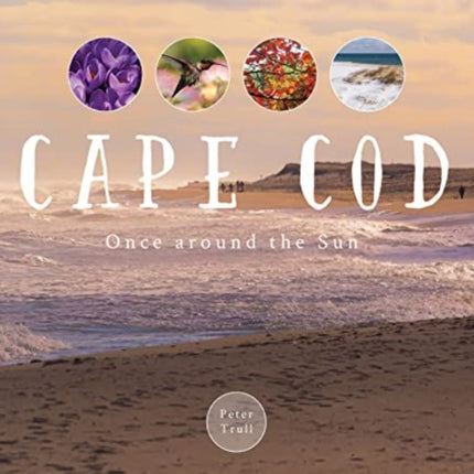 Cape Cod: Once around the Sun