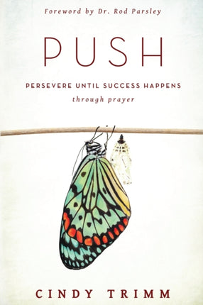 Push Persevere Until Success Happens Through Prayer