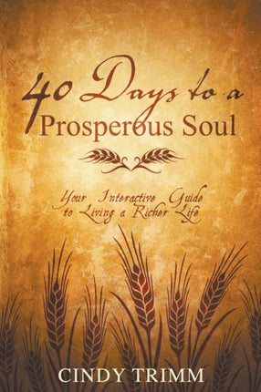 40 Days to a Prosperous Soul Your Interactive Guide to Living a Richer Life