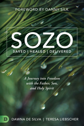 Sozo: Saved, Healed, Delivered : a Journey into Freedom with the Father, Son, and Holy Spirit