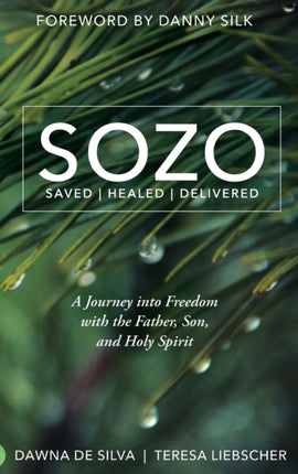 SOZO Saved Healed Delivered A Journey into Freedom with the Father Son and Holy Spirit
