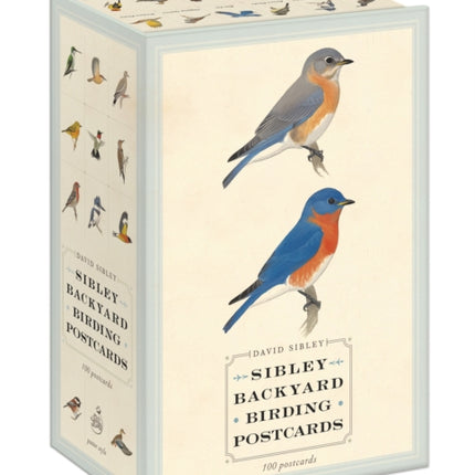 Sibley Backyard Birding Postcards: 100 Postcards