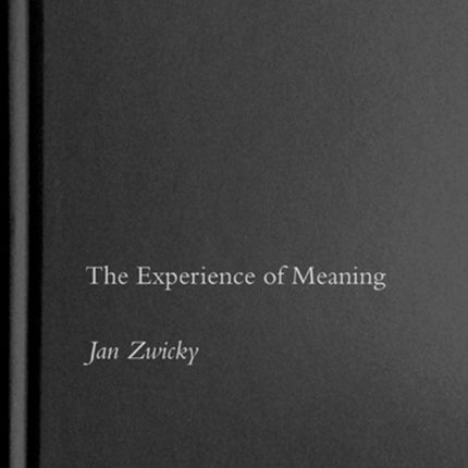 The Experience of Meaning