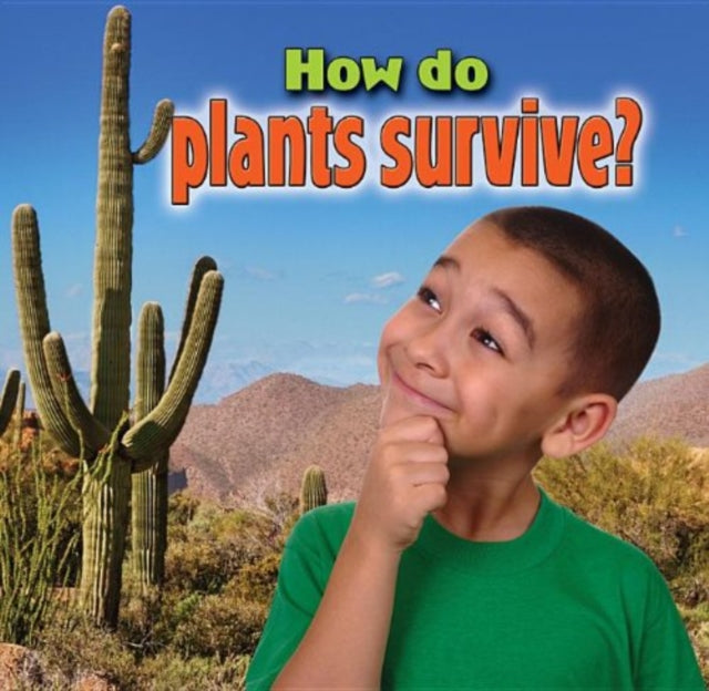 How Do Plants Survive Plants Closeup