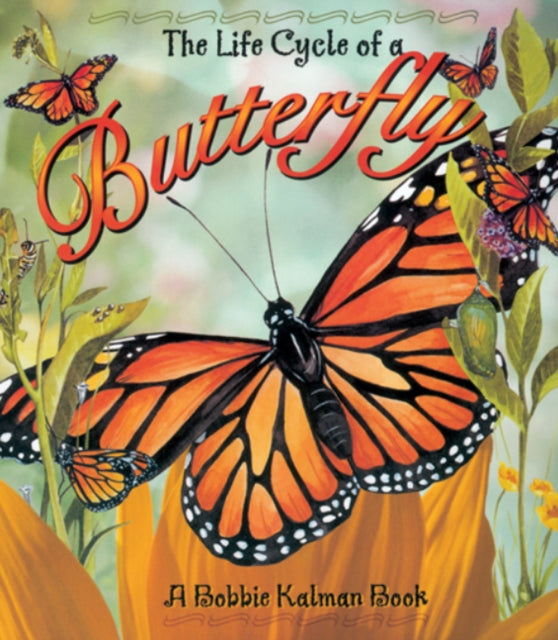 The Life Cycle of the Butterfly