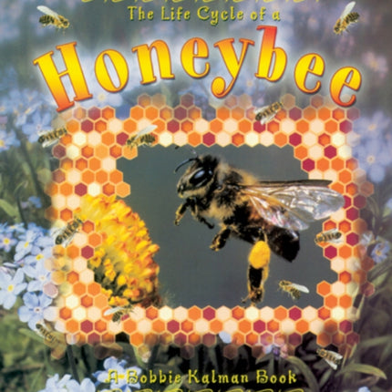 Honeybee