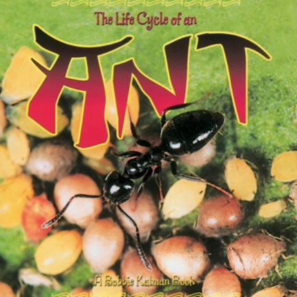 The Life Cycle of an Ant