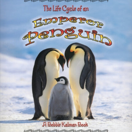 The Life Cycle of an Emperor Penguin Life Cycle of A