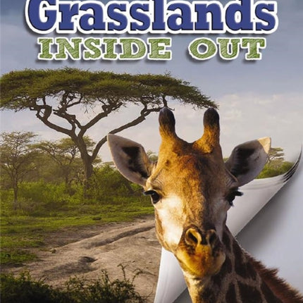 Grasslands Inside Out Ecosystems Inside Out