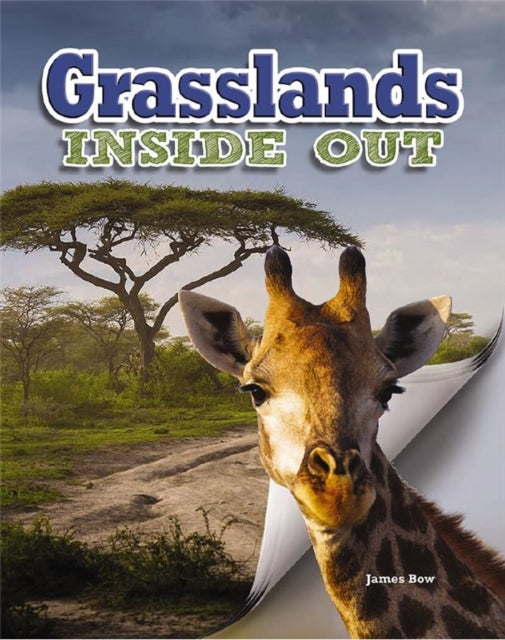 Grasslands Inside Out Ecosystems Inside Out