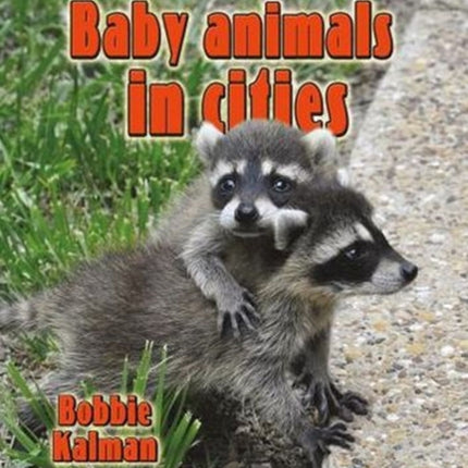 Baby Animals in Cities