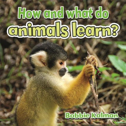 How and What Do Animals Learn