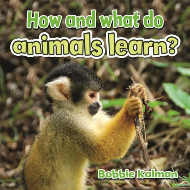 How and What Do Animals Learn