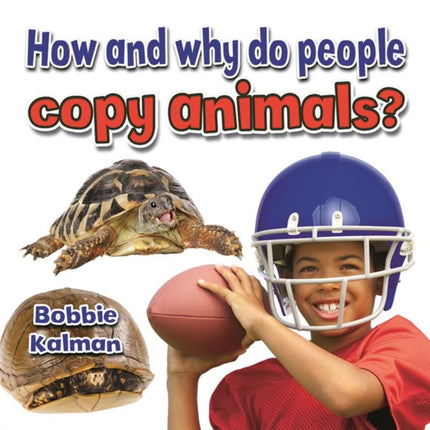 What Kind of Coverings do Animals Have All About