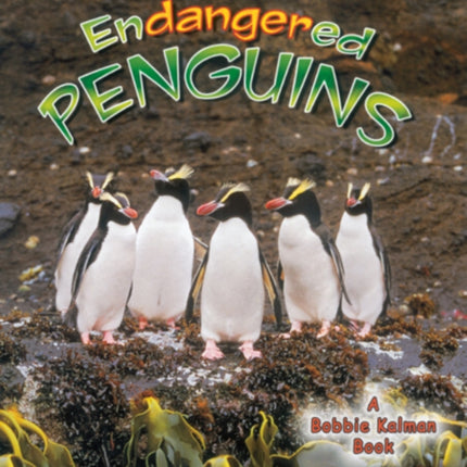 Endangered Penguins