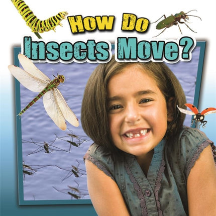 How Do Insects Move?