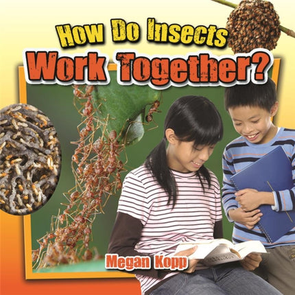 How Do Insects Work Together?