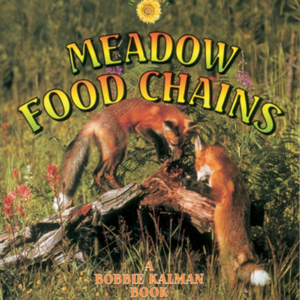 Meadow Food Chains