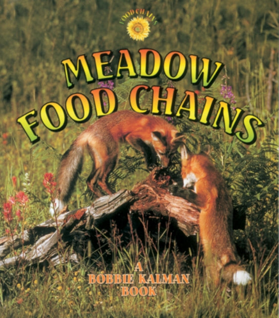 Meadow Food Chains