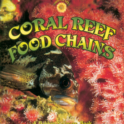 Coral Reef Food Chains